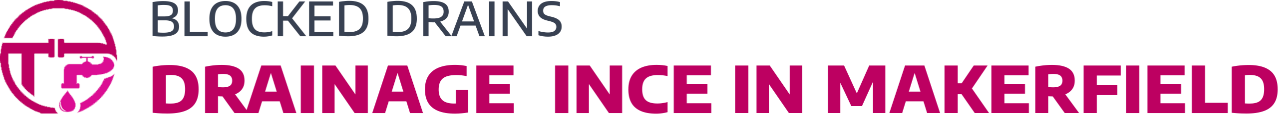 website logo